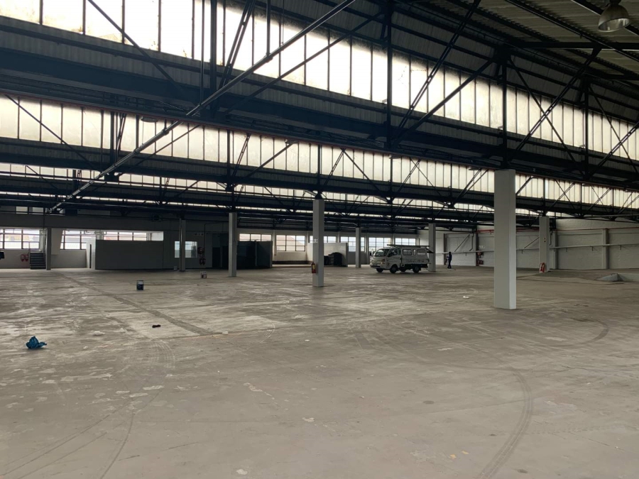 To Let Commercial Property for Rent in Paarden Eiland Western Cape
